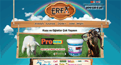 Desktop Screenshot of erfa.com.tr